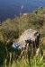 Resting by the lake