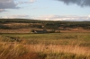 Scenery